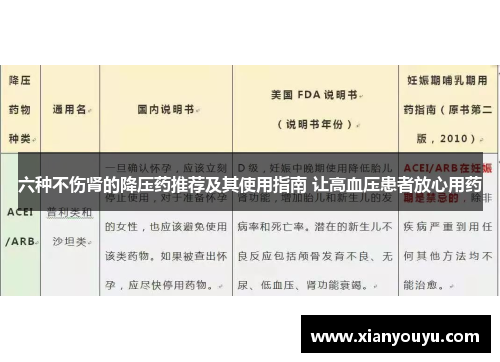 六种不伤肾的降压药推荐及其使用指南 让高血压患者放心用药
