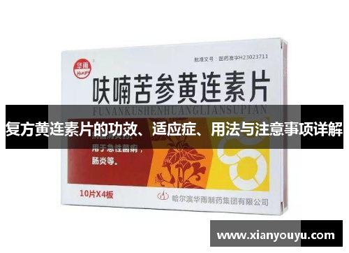 复方黄连素片的功效、适应症、用法与注意事项详解
