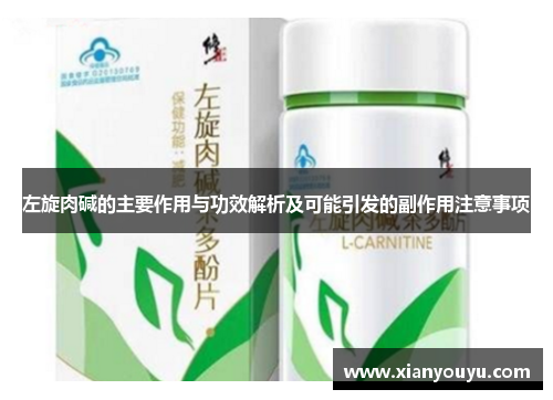 左旋肉碱的主要作用与功效解析及可能引发的副作用注意事项